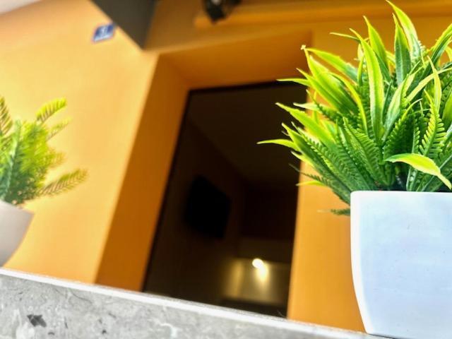 Residence Zar 8 Trieszt Kültér fotó