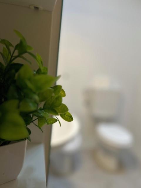 Residence Zar 8 Trieszt Kültér fotó