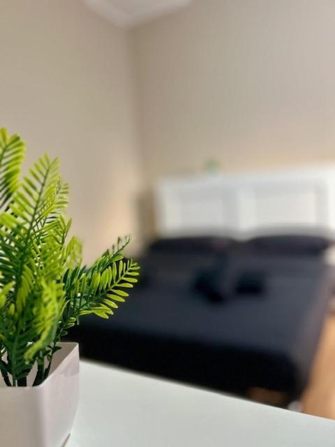 Residence Zar 8 Trieszt Kültér fotó